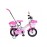 Bicicleta 1282 Pink Extra 12″ Roz 